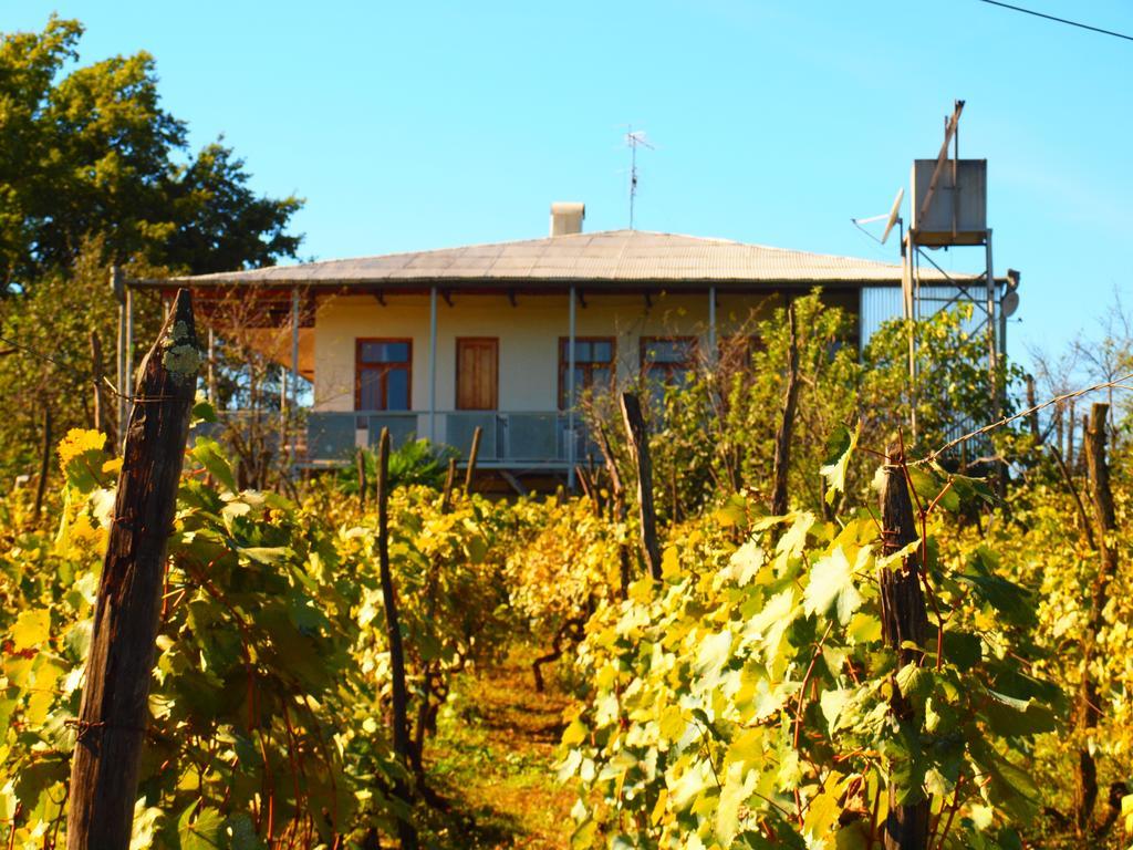 Guesthouse Zedafoni Zestafoni Dış mekan fotoğraf